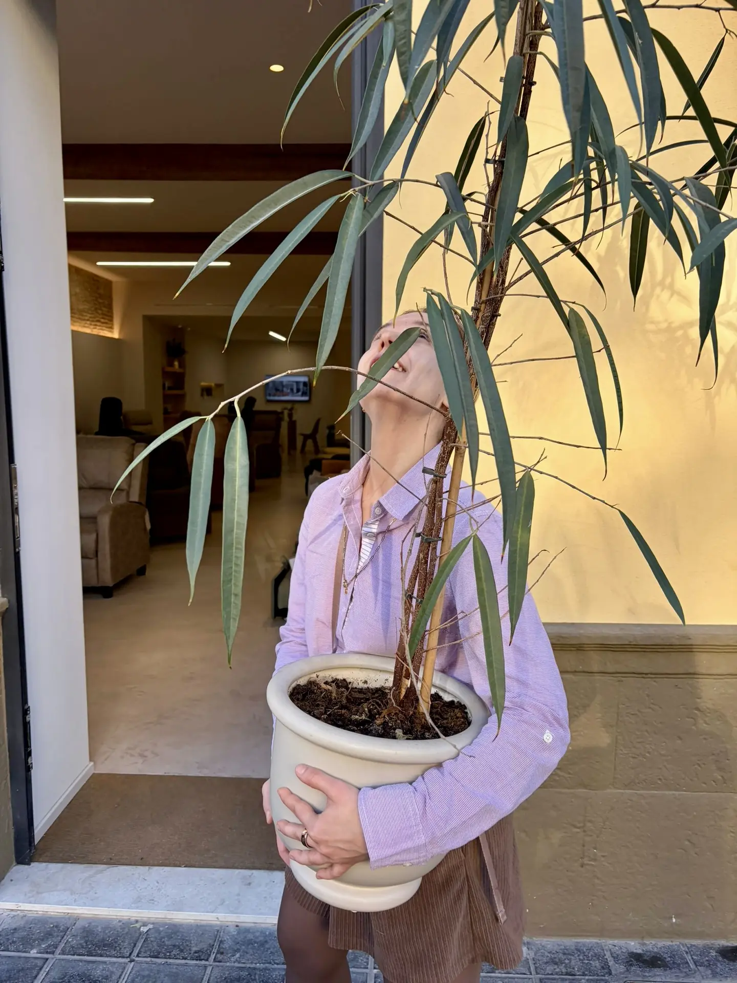 Daria holding and looking up into a tall indoor plant in Valencia