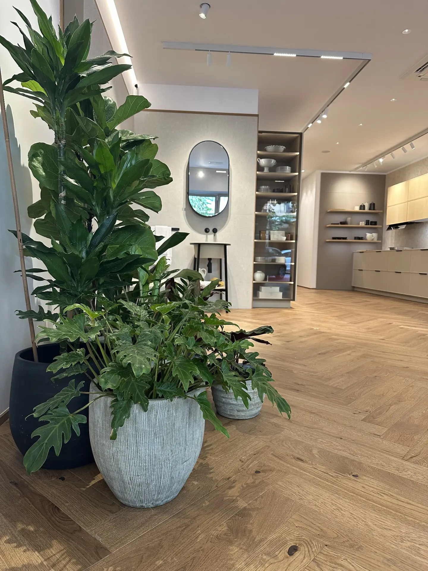 SABELLA home showroom in Valencia with a lush plant grouping