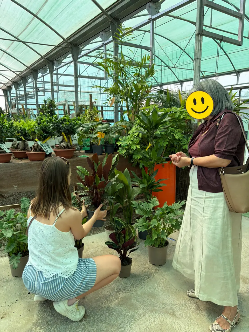 Selecting plants with a client at a local plant nursery